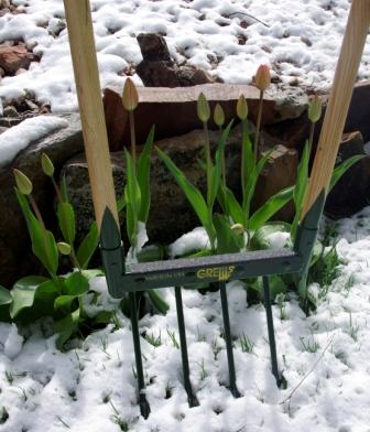 tilling, cultivator, broadfork, garden tools, green, green products